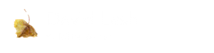 Envisioned Logo
