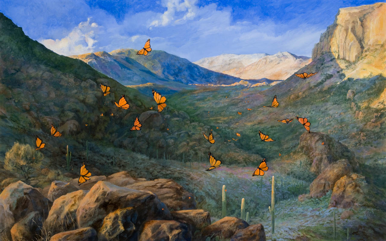 sonoran desert butterfly painting